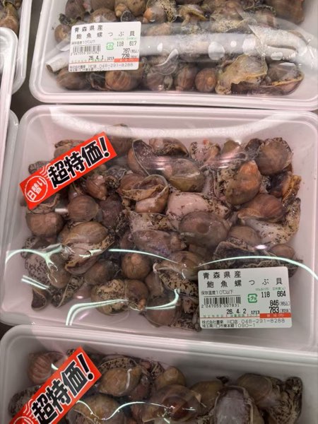 青森県産 つぶ貝 超特価