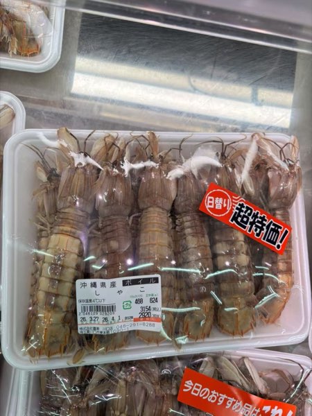 沖縄県産 シャコ 超特価
